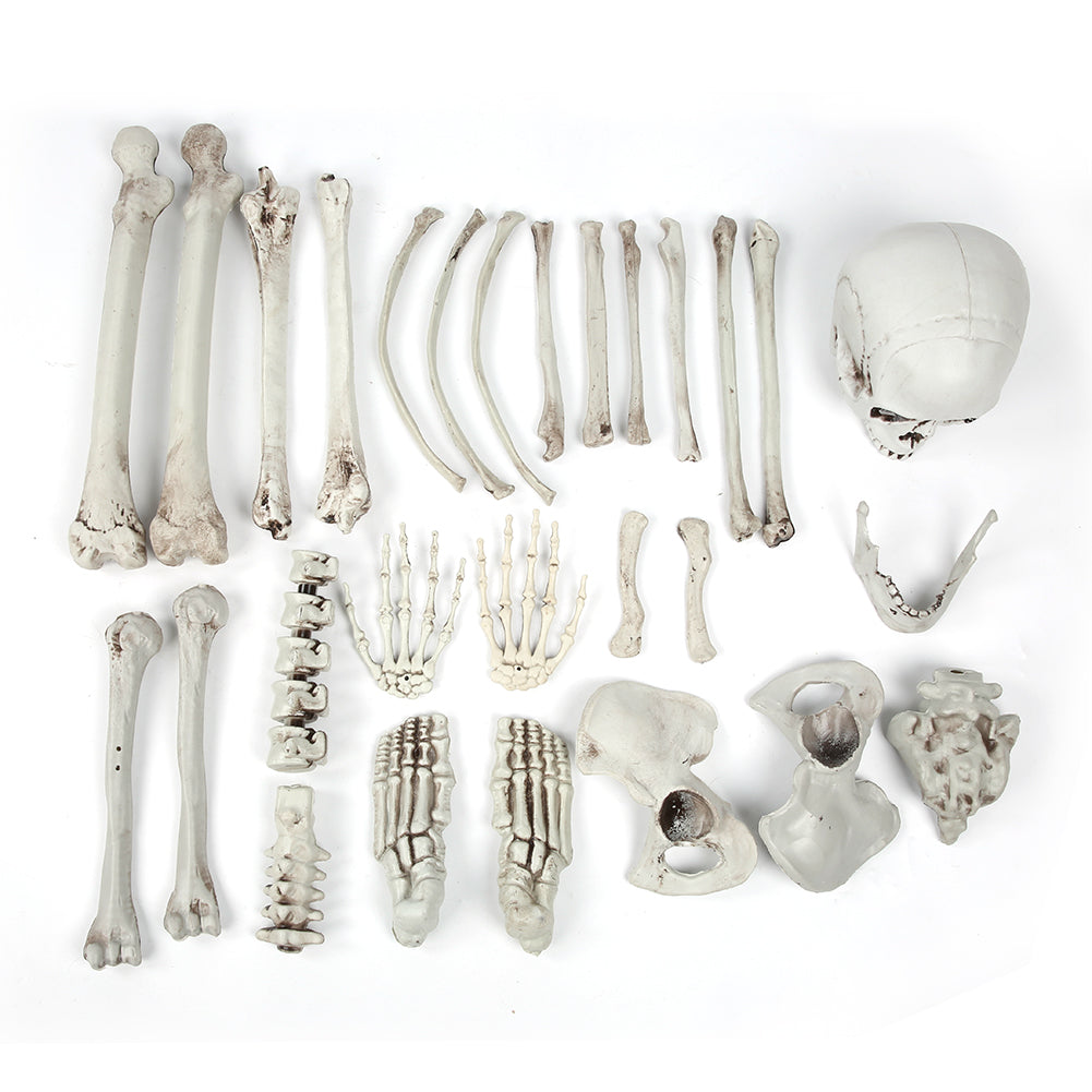 Halloween Room Haunted House Bar Decoration Terrorist Body Skull Skeleton 28 Parts Tricky Props