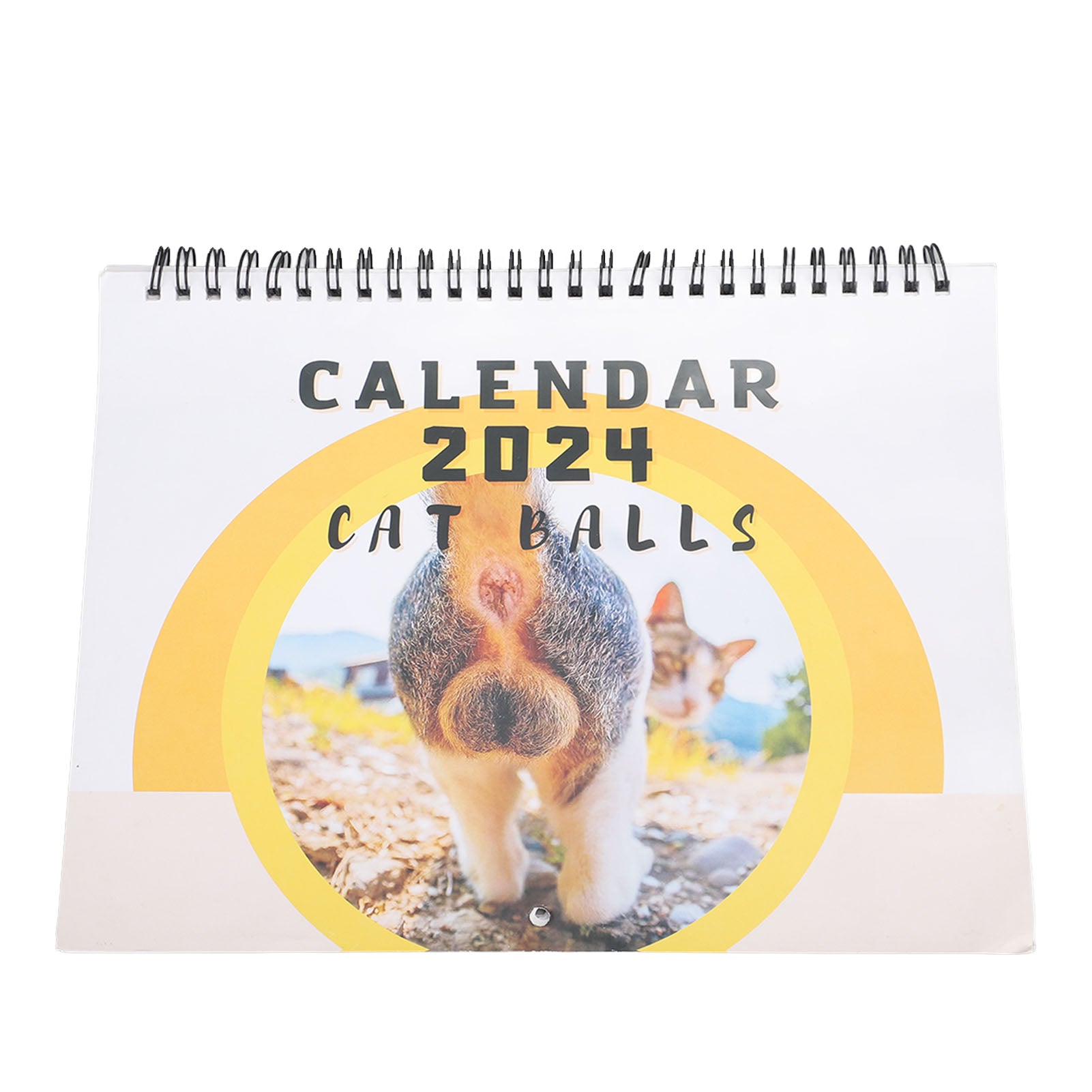 Cat Ball Butt Calendar Funny 12 Months Lovely 2024 Cat Butthole Calendar for Bedroom Office