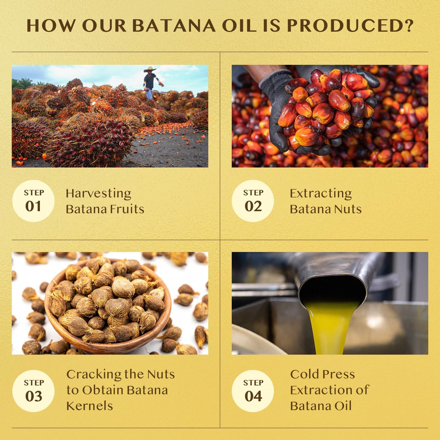 Jardient Raw Batana Oil for hair nourishing: Dr Sebi Organic Batana Oil from Honduras - 100% Pure & Natural - Promotes Thicker & Stronger Hair for Men & Women (4 OZ)