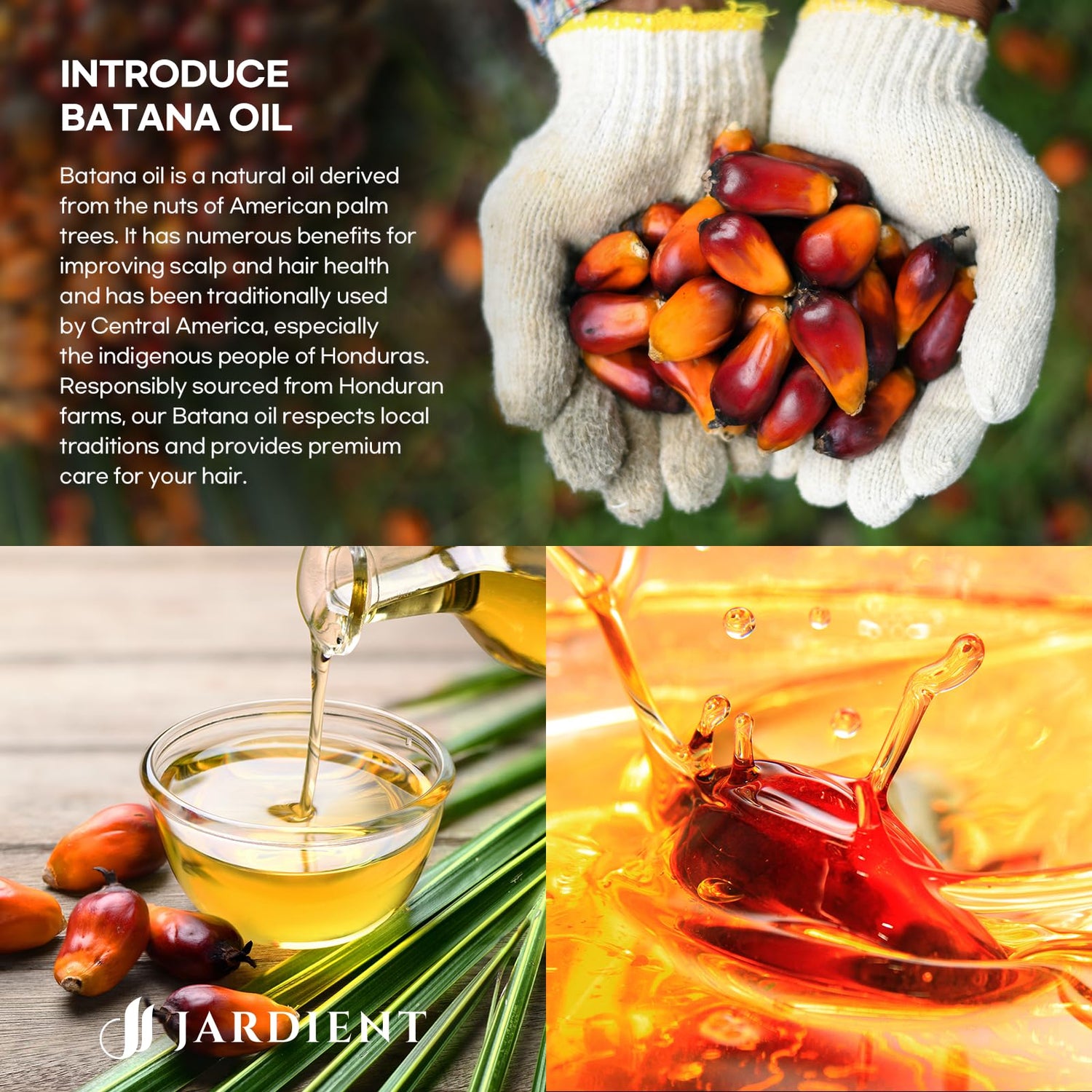 Jardient Raw Batana Oil for hair nourishing: Natural Pure 100% Oils - Dr. Sebi Batana Organic Oil from Honduras Promotes Hair thickness for Men & Women 2FL OZ.